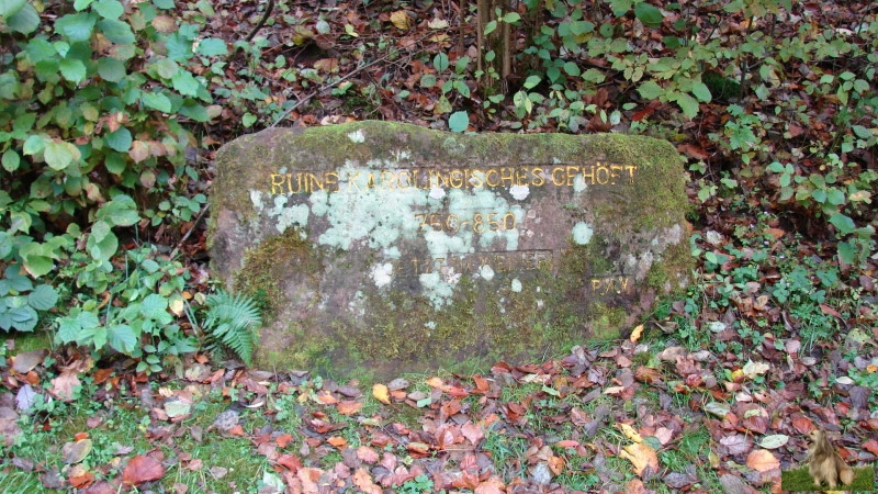 Ritterstein Nr. 218-2 Ruine Karolingisches Gehöft, 750-850, jetzt im Weiher.JPG - Ritterstein Nr.218 Ruine Karolingisches Gehöft, 750-850, jetzt im Weiher